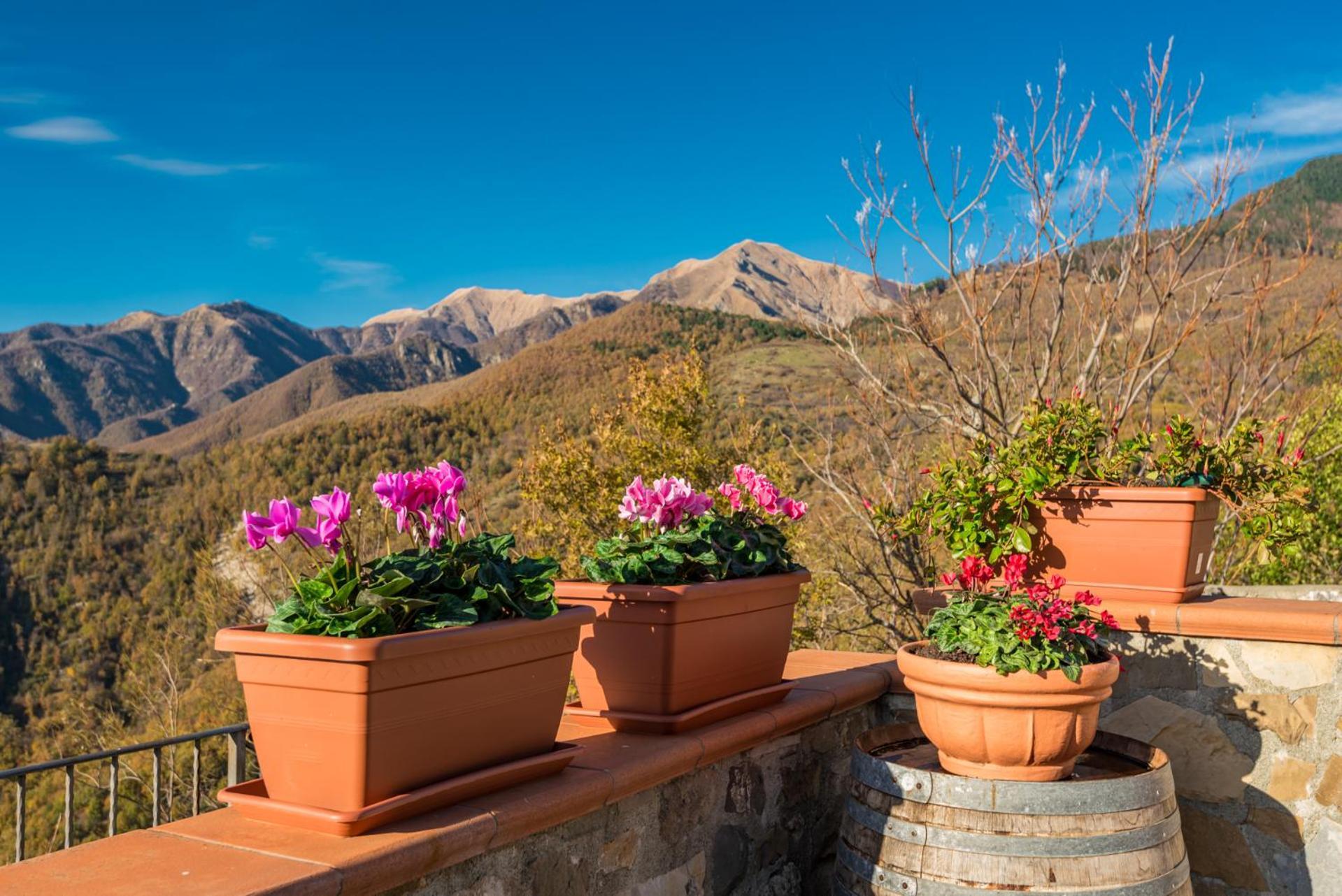 Vivi Luxury Country House Comano  Extérieur photo